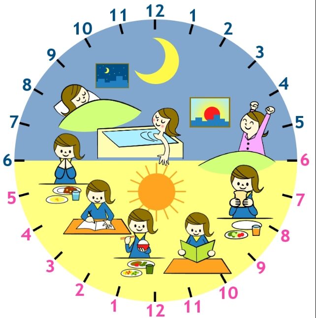 生活リズム 図