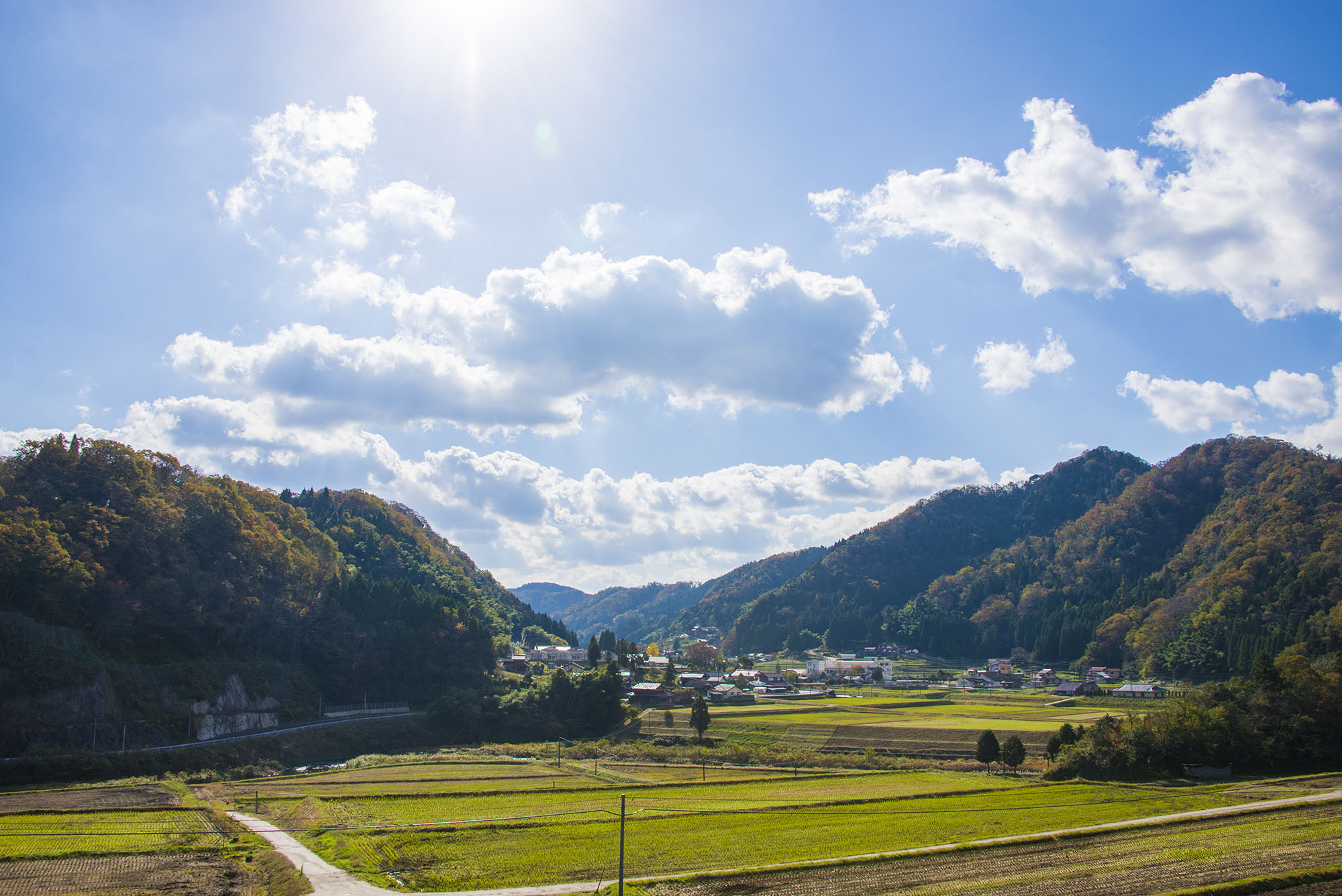 田舎の風景