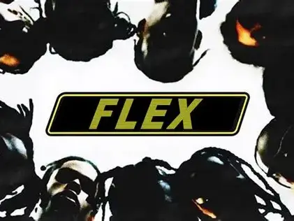 フレックス!